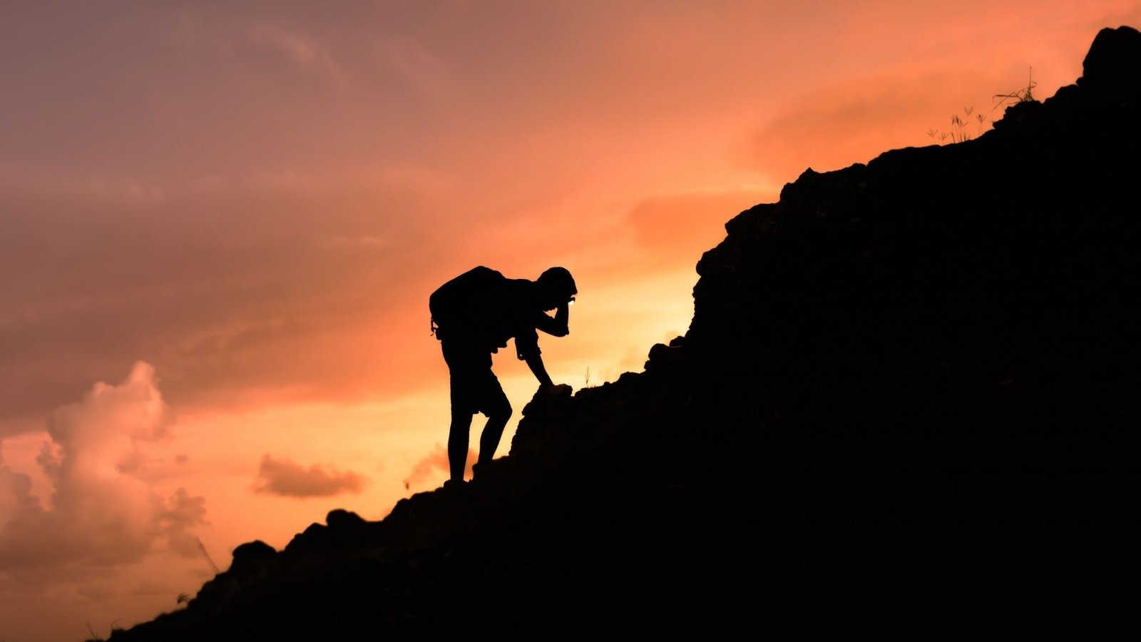 Read more about the article Giving Up Comfort for a Shot at Freedom